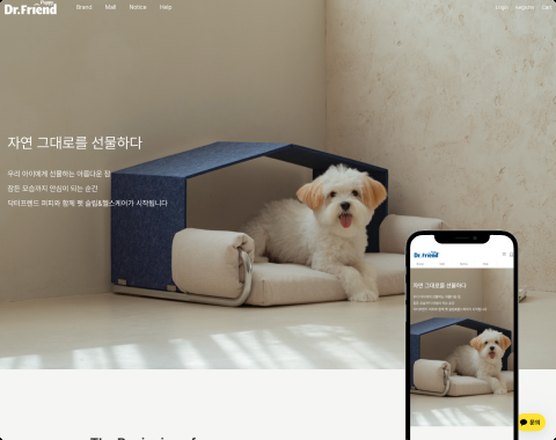 온니디자인 포트폴리오 — Dr.Friend